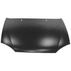 Panser - Ford Fiesta