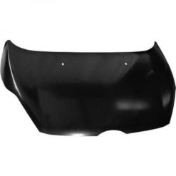 Panser - Ford Fiesta