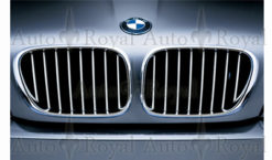 E53 BMW Original titan line grilloptikk fra 10.2003