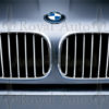 E53 BMW Original titan line grilloptikk frem til 10.2003