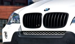 E70 X5 / E71 X6 Sorte griller