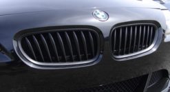 E85 Z4 Sorte grillnyrer