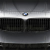 F10 BMW Original sort grillsats