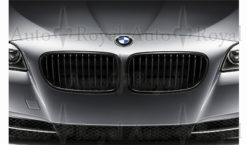 F10 BMW Original sort grillsats