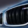 F10 BMW originalt M5 grillsett