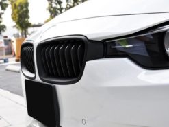 F30 Grillnyresett i sort