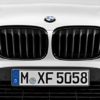F45 BMW originale sorte M Performance grillnyrer
