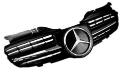 R170 R171 Look grill sort