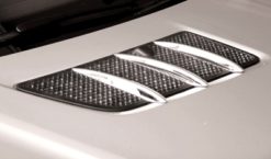 R171 Schätz Chrome Finner