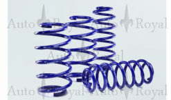 VW Polo (A05) Original Tieferlegungssatz 25-30mm max HA 770 /VA 960 kg Achslast.