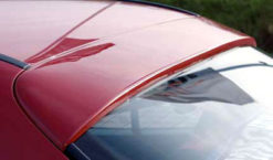 W202 Rieger takvinge