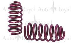 W205 Vogtland senkesett +/-30mm