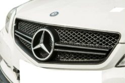 W207 AMG design grill 09-13