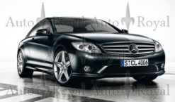 W216 AMG genuine sideskjørt