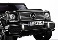 W463 G65 look grill