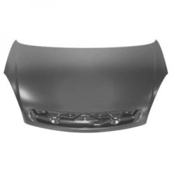 Panser - Citroen Picasso