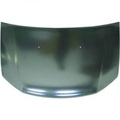 Panser - Renault Sandero