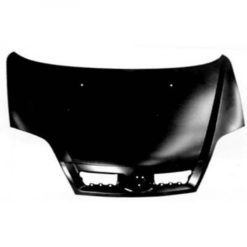 Panser - Renault Scenic