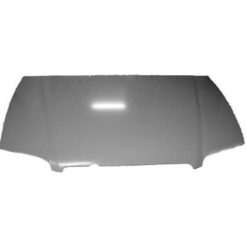 Panser - Hyundai Trajet