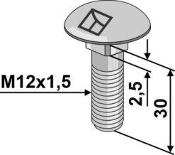 Låseskrue M12x1,5x30 8.8 u/mutter