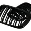 Sentrale nyregitter egnet for BMW 3-serie E46 Coupe Cabrio 2 dører uten ansiktsløftning (1999-2002) Double Stripe M Design Piano Black |