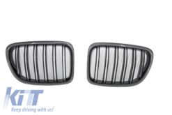 Alternative view of Passer for BMW X1 E84 (2009-2014) Sentralgitter Nyregitter Karbonfiberdesign