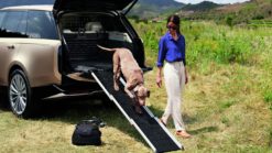 Pet Care and Access Pack, SWB og LWB, 5 seter