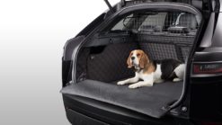 Vattert lasteromsforing, Pre 21MY