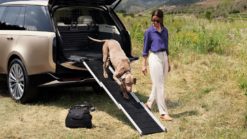 Kjæledyrspakke – ikke-utøvende sitteplasser